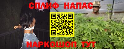 сатива Можга