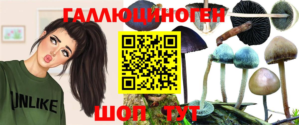 Галлюциногенные грибы GOLDEN TEACHER  Вход с VPN  Галлюциногенные грибы Cubensis  Хабаровск 