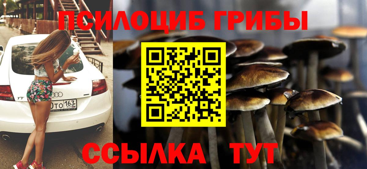 Галлюциногенные грибы Psilocybine cubensis Хабаровск